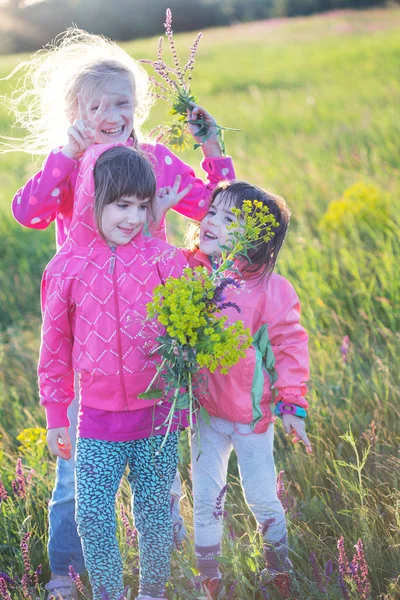 Маленькие Улыбающиеся Девочки Подружки Лугу Шалфеем Детский Праздник — стоковое фото