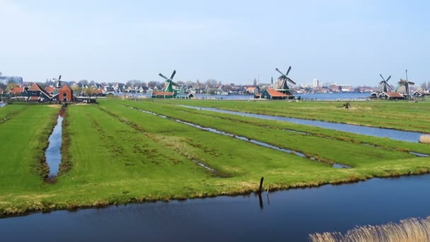 Zaanse Schans Netherlands Апреля 2018 Года Взгляд Ветряные Мельницы Zaanse — стоковое видео