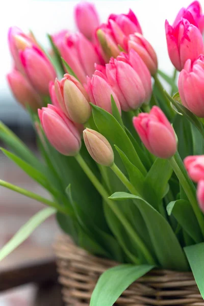 Enorme Ramo Tulipanes Rosados Amsterdam Países Bajos — Foto de Stock