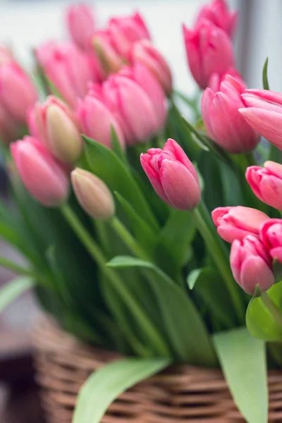 Huge Bouquet Pink Tulips Amsterdam Netherland — Stock Photo, Image