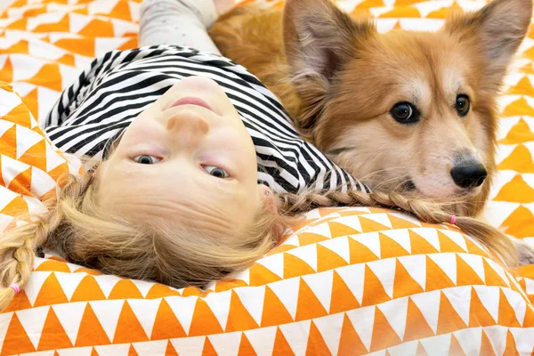 Schöne Blonde Mädchen Und Corgi Flauschig Kinderzimmer Auf Der — Stockfoto