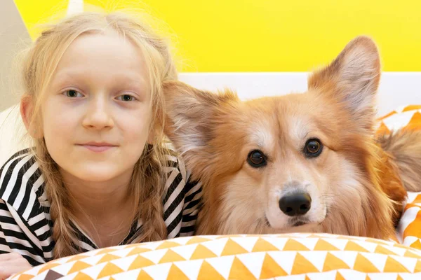 Schöne Blonde Mädchen Und Corgi Flauschig Kinderzimmer Auf Der — Stockfoto