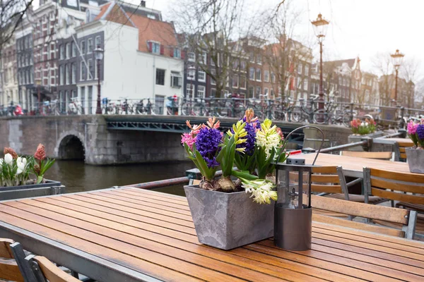 Красиве Кафе Вулиці Амстердама Столи Стільці Стелі — стокове фото