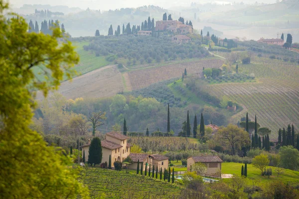 Nevoeiro Paisagem Típica Toscana Uma Vista Uma Colina Beco Cipreste — Fotografia de Stock