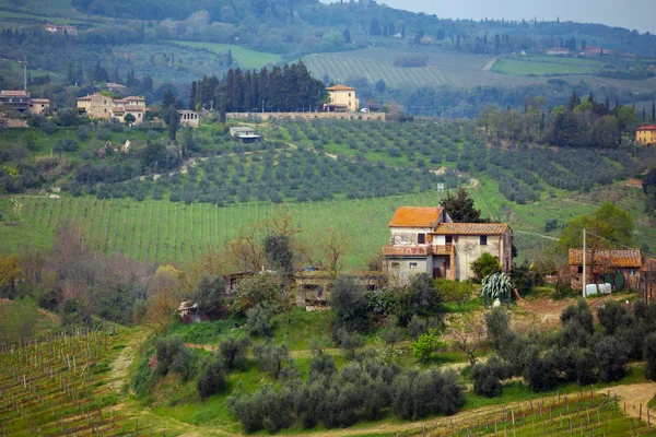 典型的な Tuscanian の風景 サイプレス路地 シエナの州にブドウ畑と谷の別荘のビュー トスカーナ アイタル — ストック写真