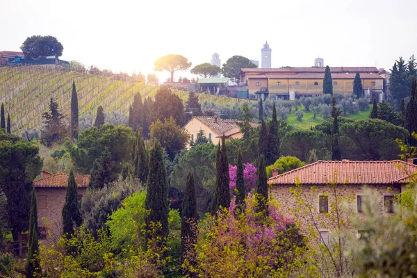 Paisagem Típica Toscana Vista Uma Villa Numa Colina Beco Cipreste — Fotografia de Stock