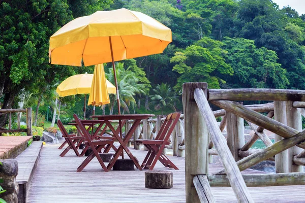 Blick Auf Das Café Meer Auf Dem Dschungel Hintergrund Brasilien — Stockfoto