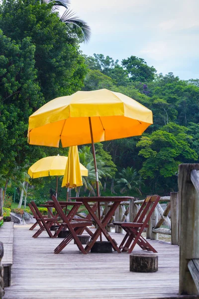 Oceanfront Kafe Görünümünü Orman Arka Planda Brazi — Stok fotoğraf