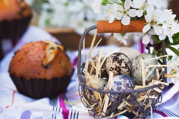 Kellemes Húsvéti Ünnepeket Kosár Tojás Háttérben Cseresznyevirág Cupcakes — Stock Fotó