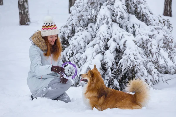 Cerca Retrato Perro Corgi Esponjoso Dueño Jugando Paseo Invierno Outdoo — Foto de Stock