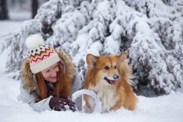 Cerca Retrato Perro Corgi Esponjoso Dueño Jugando Paseo Invierno Outdoo —  Fotos de Stock