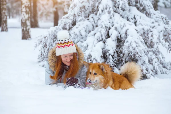 Cerca Retrato Perro Corgi Esponjoso Dueño Jugando Paseo Invierno Outdoo — Foto de Stock