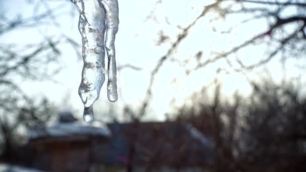 Bahar Geliyor Buz Sarkıtları Özel Binanın Çatı Üzerinde — Stok video