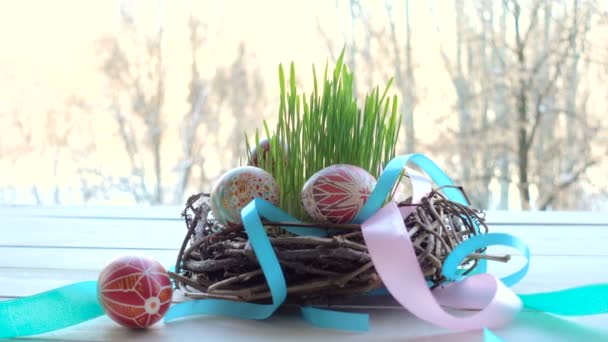 Home Made Nest Group Easter Eggs — Stock Video