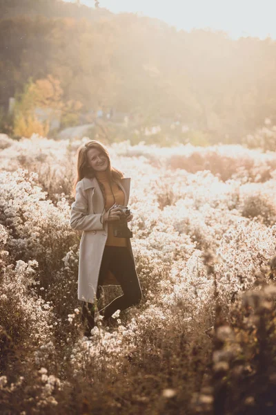 ヴィンテージ秋 ヴィンテージカメラを持った女の子が太陽の下でふわふわのタンポポの畑を歩いています — ストック写真