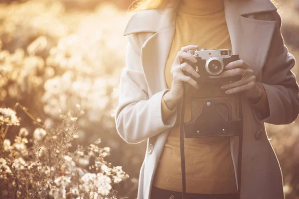 Klasik Sonbahar Klasik Kameralı Bir Kız Gün Batımında Tüylü Karahindiba — Stok fotoğraf