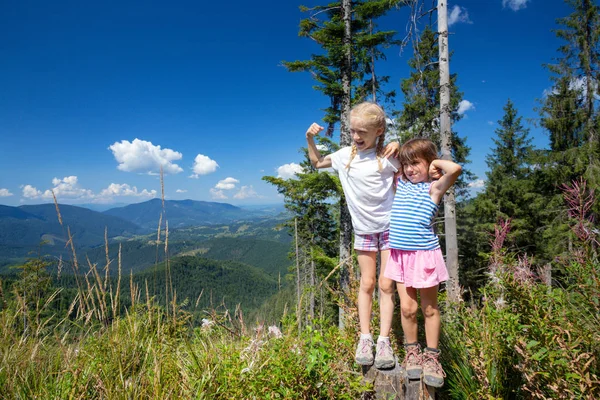 Kleine Kinder Auf Einer Wanderung Lustige Freundin Vor Dem Hintergrund — Stockfoto