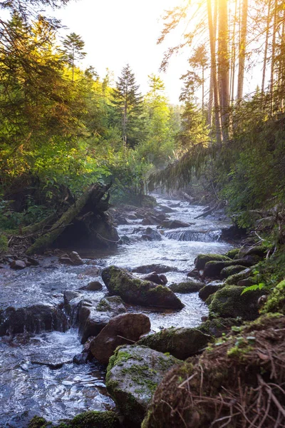 Belle Rivière Montagne Aube Dans Les Carpates Ukrain — Photo