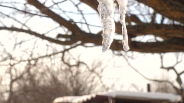 Der Frühling Naht Eiszapfen Auf Dem Dach Eines Privaten Gebäudes — Stockvideo