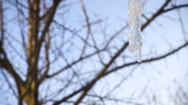 Der Frühling Naht Eiszapfen Auf Dem Dach Eines Privaten Gebäudes — Stockvideo