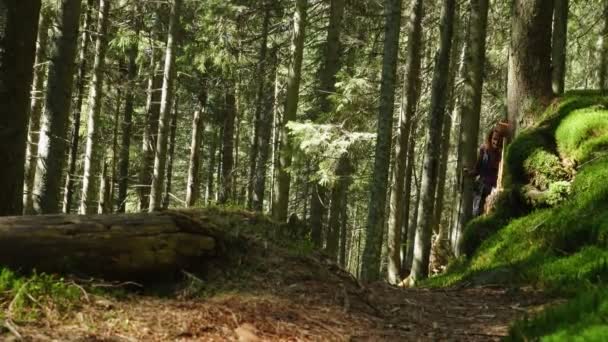 Chica Excursionista Caminando Bosque Pinos — Vídeo de stock