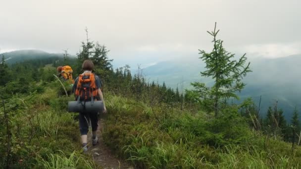 Familie Volwassene Kinderen Backpackers Wandeling Bergen — Stockvideo