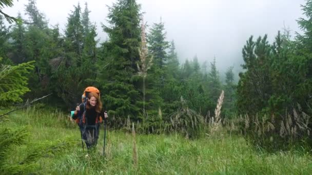 Chica Excursionista Caminando Bosque Pinos — Vídeos de Stock