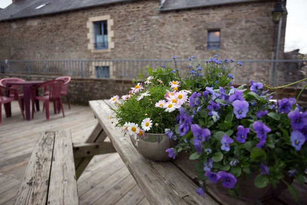 Dekor Blumen Einem Dekorativen Topf Stehen Auf Einem Tisch Der — Stockfoto