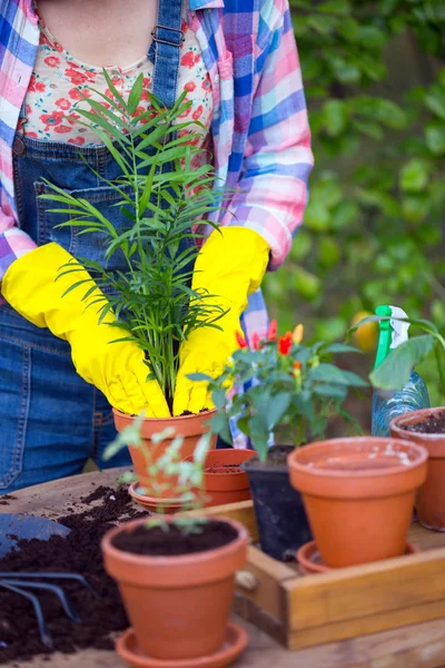 Mädchen Pflanzt Eine Blume Garten Blumentöpfe Und Pflanzen Zum Verpflanzen — Stockfoto