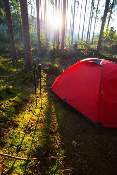 Tienda Roja Postes Trekking Bosque Contra Fondo Subida —  Fotos de Stock