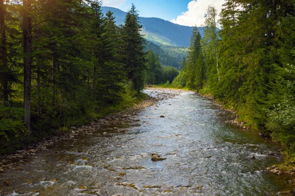 Schöner Gebirgsfluss Den Karpaten Ukraine — Stockfoto