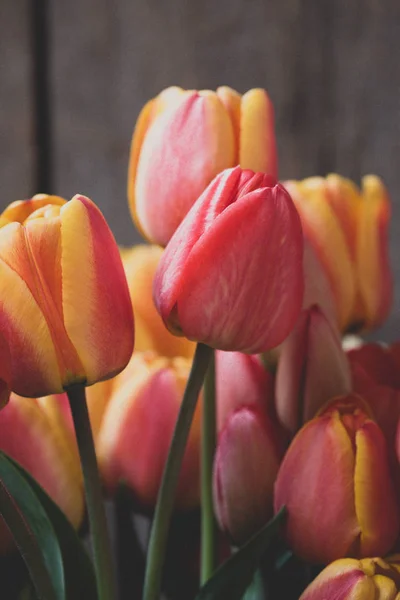 Fond Bois Vintage Avec Des Tulipes Gouttes — Photo