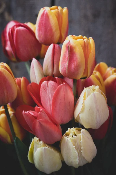 Vintage Wooden Background Tulips Drops — Stock Photo, Image