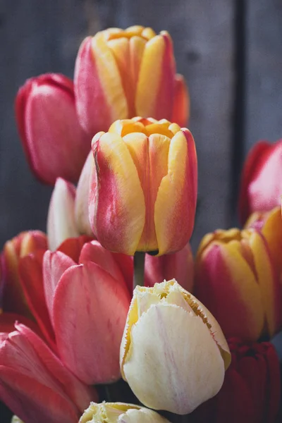 Fond Bois Vintage Avec Des Tulipes Gouttes — Photo