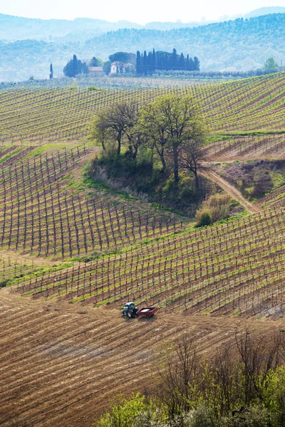 Vigneti sulle colline toscane — Foto Stock