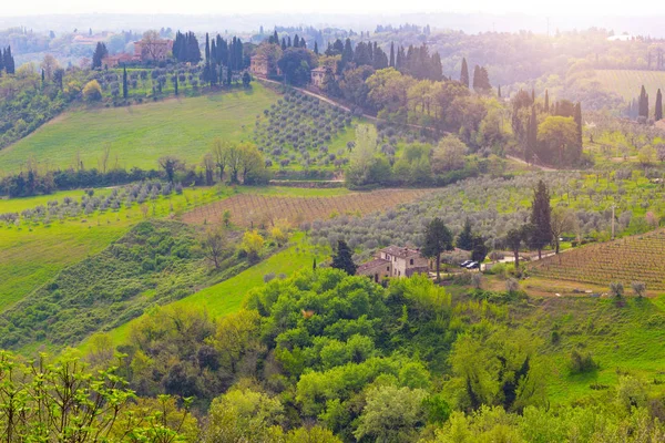 Típico paisaje toscano —  Fotos de Stock