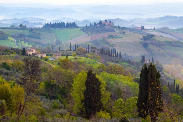 Typisch Toscaanse landschap — Stockfoto