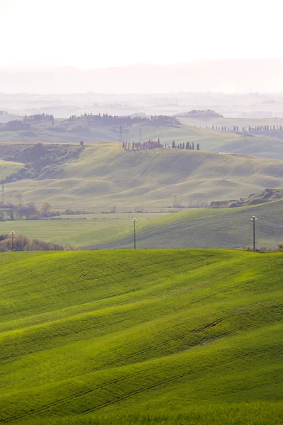 Paisagem típica da Toscana - ondas verdes — Fotografia de Stock