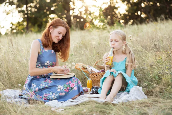 Picnic in the meadow — Stock Photo, Image