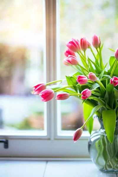 Tulipani rosa in un vaso — Foto Stock