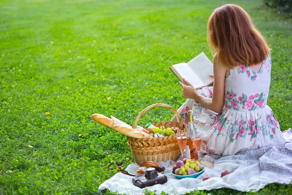 Picknick in de weide — Stockfoto