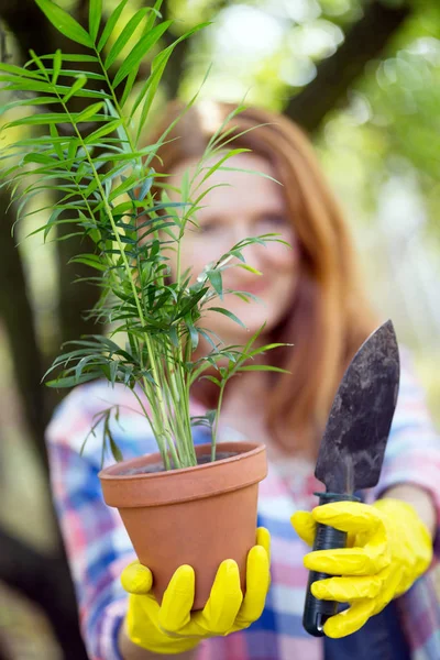 女の子植物工場 — ストック写真