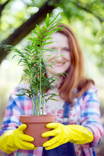 Дівчина саджає рослину — стокове фото