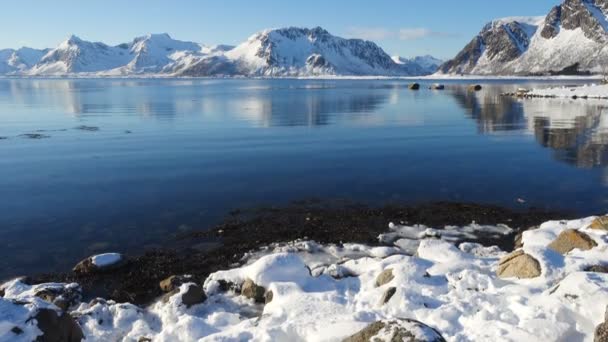 彼女のスマートフォンで北ノルウェーでロフォーテン諸島で日当たりの良い冬のフィヨルドの写真を撮っている女の子 — ストック動画