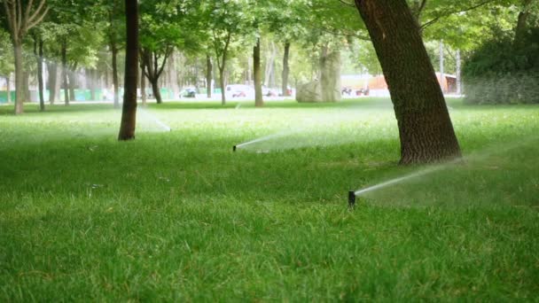 Grässprinkler Äng Vid Parken — Stockvideo