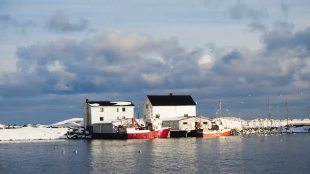 Bonito Inverno Norwegian Lansdcape Com Rorbu Multicolorido Navios Pesca Ancorados — Vídeo de Stock