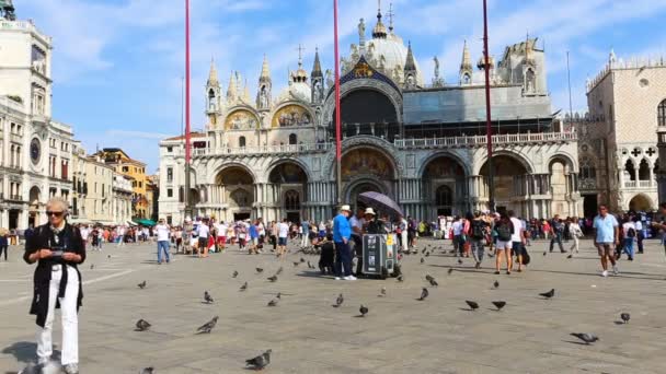 ヴェネツィア イタリア 2016 大勢のイタリア ベニス サンマルコ大聖堂の眺めとサン マルコ広場の観光客 — ストック動画