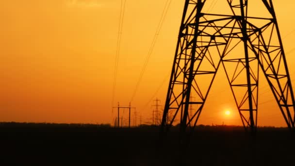 High Voltage Power Lines Field Sunset Time — Stock Video