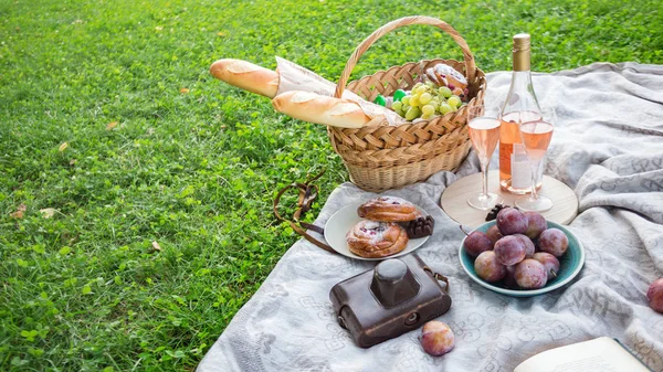 Piknik a réten — Stock Fotó