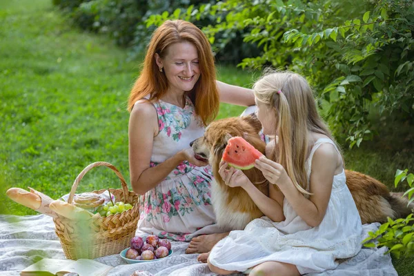 Šťastná rodina na pikniku — Stock fotografie